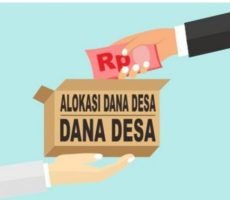 Pengalokasian Dana Desa Pearung Humbanghas Menyisahkan Berita Tidak Sedap