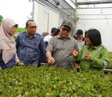 Teknologi Pengelolaan Industri HTI, FOReTIKA se - Indonesia Kunjungi TPL