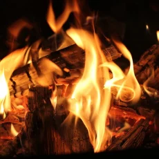 Sekolah dan kantor di Fakfak Papua di Bakar Gerombolan Bersajam Kepala Distrik Tewas