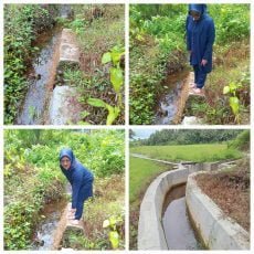 Proyek Saluran Irigasi Pokir Anggota DPRD PKS Padang Pariaman Tidak Tepat Sasaran