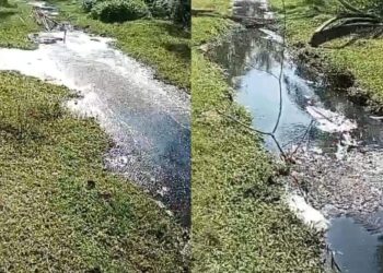 Limbah PKS PTPN 4 Bah Jambi Buang Sembarangan dan Meresahkan