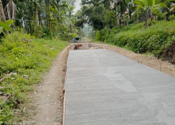 Bak Proyek Siluman dan Dugaan Mark Up Alokasi Dana Desa  Wali Nagari Sikucur Utara