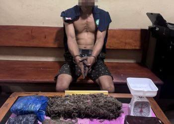 Seorang Residivis Dibekuk Kembali Oleh Tim Opsnal Satresnarkoba Polres Pasaman Barat