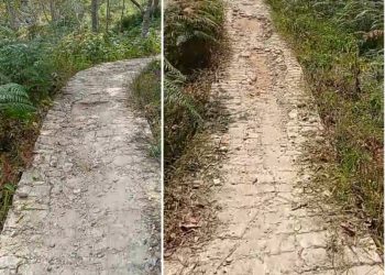 Biaya Rabat Beton Dusun Ulu Mamis Saipar Dolok Hole Tapsel di Korupsi?