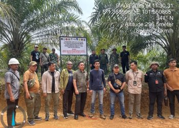 Tindakan Tegas Kajati Sumbar Penertiban 8.133 Ha Hutan dari Dua Korporasi