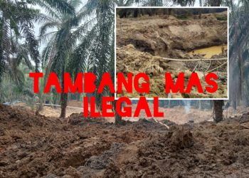 Pemilik Tambang Emas Ilegal di Desa Batang Lobung Kebal Hukum?