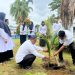 Lapas Idi Laksanakan Penanaman Bibit Pohon Kelapa