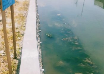 Kabid Sumber Daya Air Tak Bernyali