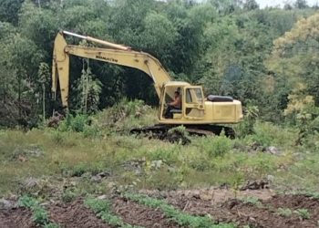 Oknum Kades Dolok Tolong Sumbul Dairi Diduga Jual Belikan Hutan Lindung