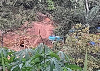 PETI di Sungai Batang Natal Madina Diduga Didalangi Oknum Polisi