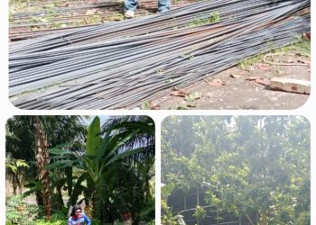 Pembangunan Tower Telkomsel di Korong Duku Nagari Pilubang Belum Berizin