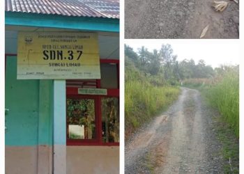 Sejak 1981 Jalan Menuju SDN 37 Sungai Limau Tidak Diperhatikan Pemerintah.