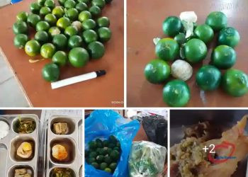 SMAN 1 Bawolato Nias Kembalikan MBG, Dinilai Tidak Memenuhi Standar