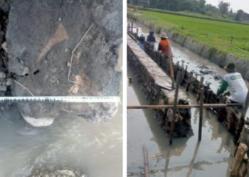 Dwi Jaya Konsultan, Tidak Mampu Bekerja ?