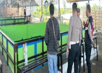 Aroma Hukum Terbeli, Penyelenggaran & Pemain Judi Sabung Ayam Aman
