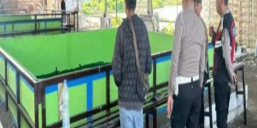 Aroma Hukum Terbeli, Penyelenggaran & Pemain Judi Sabung Ayam Aman