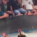 Judi Sabung Ayam di Gang Sejati, Ladang Bambu Medan