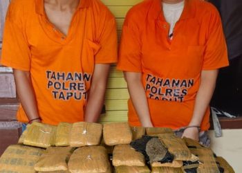 Dalam Kecelakaan Lalu Lintas, Terungkap 112 Paket Ganja,Amankan Dua Kurir