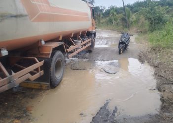 Ruas Jalan Provinsi Pulo Padang – Sinunukan  Bak Kubangan Kerbau