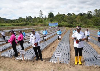 Bupati Toba: Pendampingan Kunci Keberhasilan Budidaya Bawang Putih